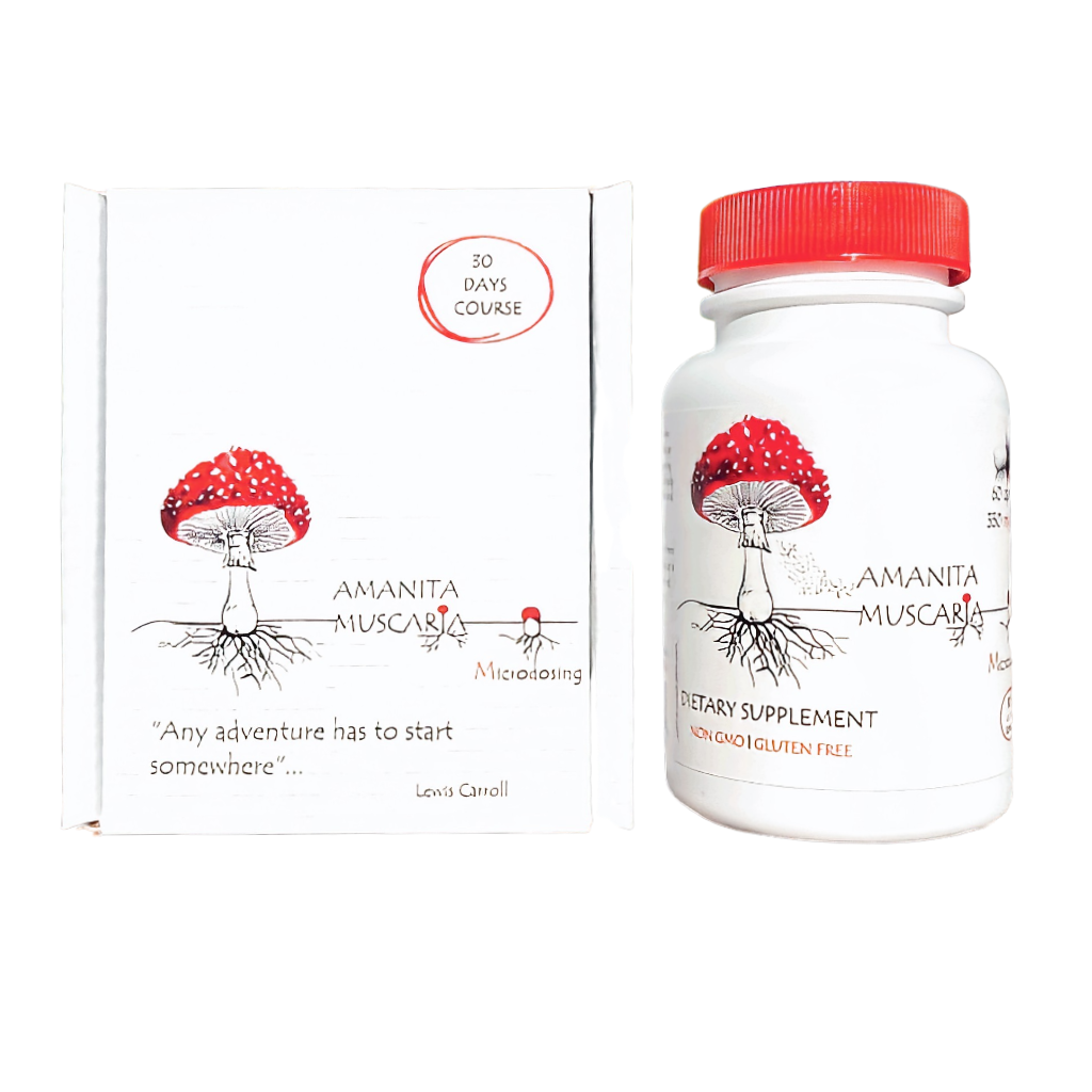  Amanita muscaria (Fly agaric) have a nootropic effect and increases self-confidence. Microdosing of amanita muscaria in capsules significantly reduces the craving for smoking and alcohol and allows you to slowly withdraw from mild psychotropic drug use.  Amanita muscaria mushroom microdosing is also used to increase the tone of the body, relieve muscle and joint pain, normalize sleep, and increase daily efficiency, slightly improving your mood.